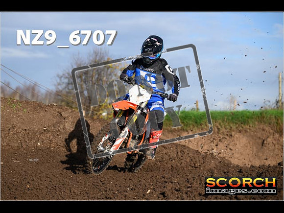 Experts-121