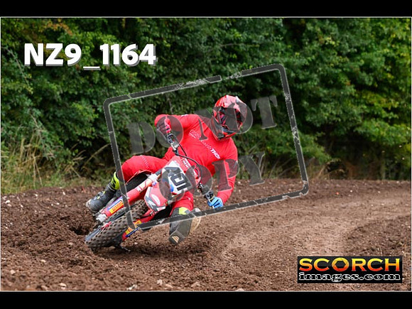 Experts-045