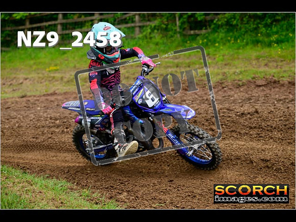 Auto 65-099