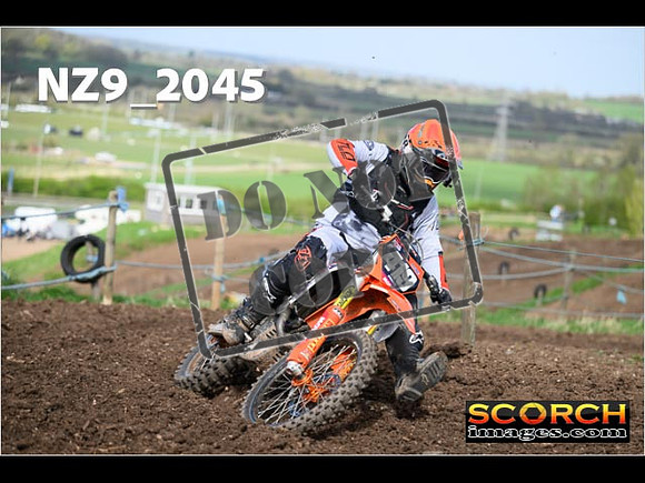 Experts-082