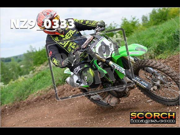 IntersGreen-277