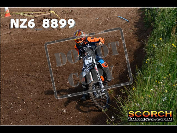 IntersGreen-058