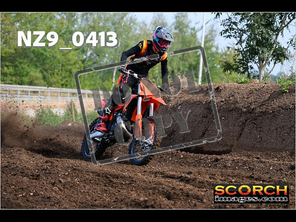 Experts-010