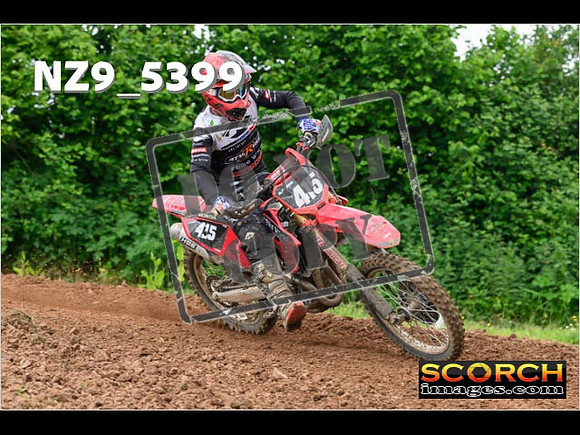 Experts-334