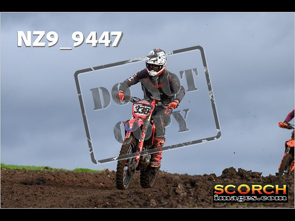 Experts-099