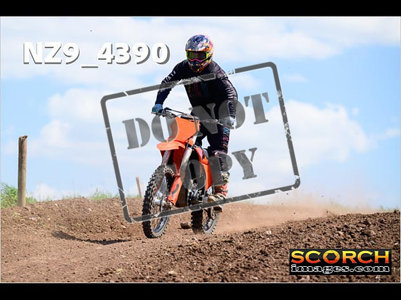 InterGreen-289