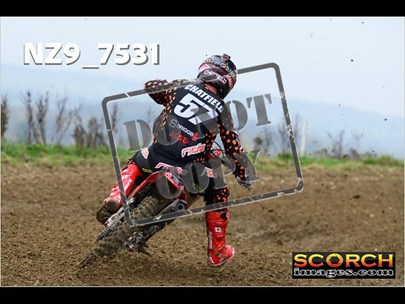 Experts-076