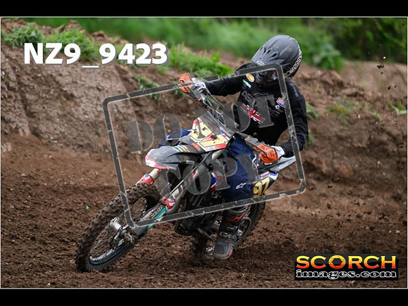 Experts-131