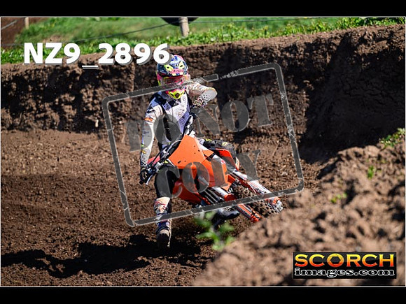 Experts-068