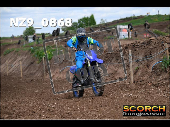 IntersGreen-398