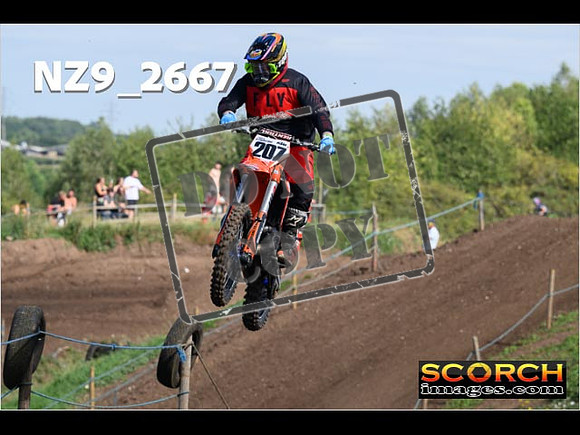 IntersGreenOrange-067