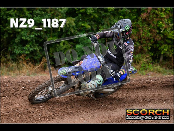 Experts-066