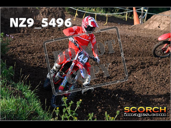 Experts-028
