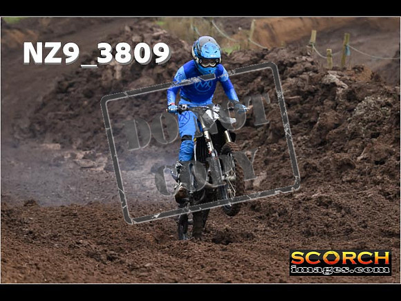 Experts-005