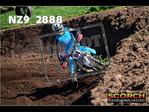 Experts-061