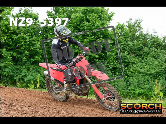 Experts-332