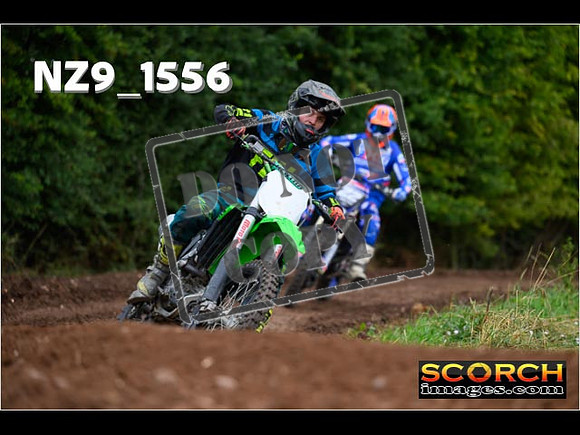 IntersGreen-122