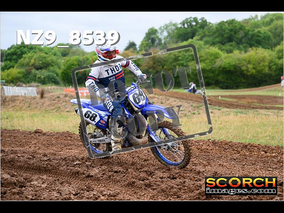 Experts-085