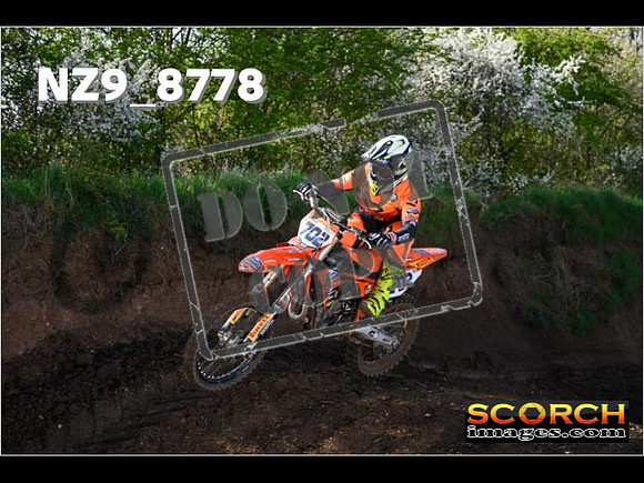 Experts-023