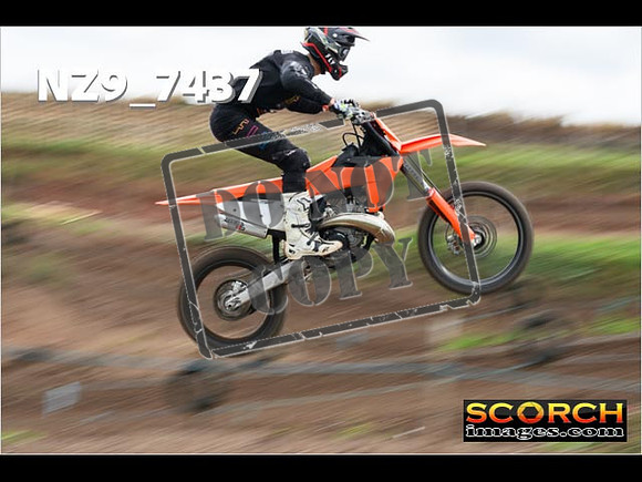 Experts-116