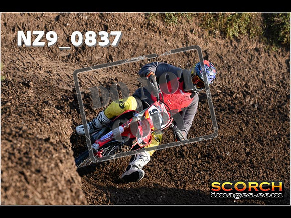 Experts-052