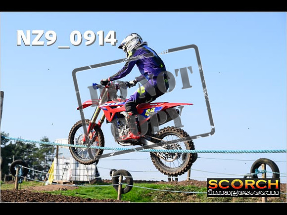 Experts-124