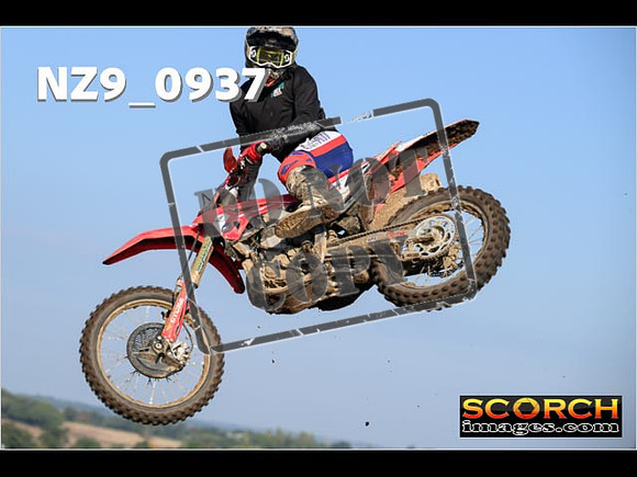Experts-146