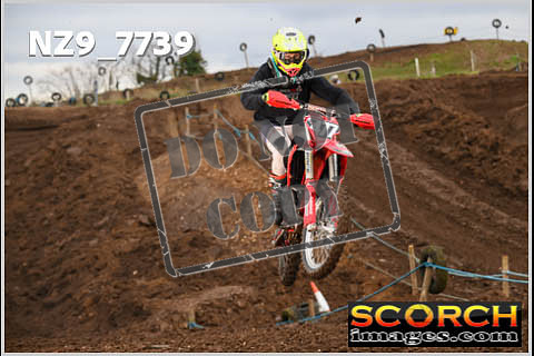 Experts-059