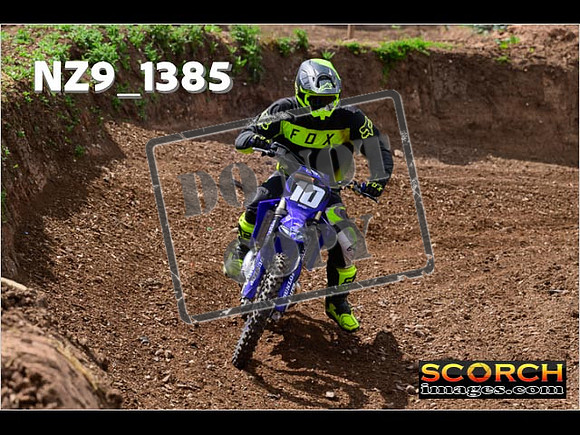 IntersGreen-096