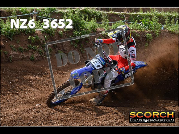 Experts-078