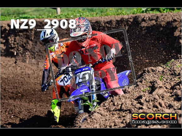 Experts-080