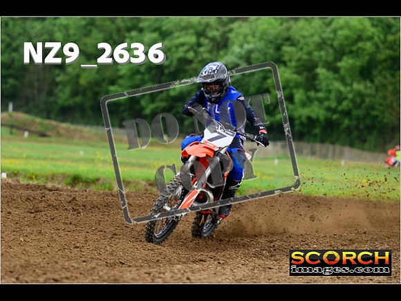 Novice-226