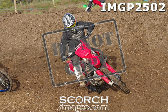 IMGP2502