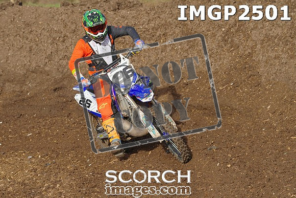 IMGP2501