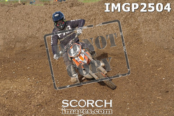 IMGP2504