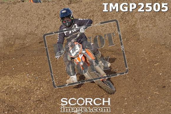 IMGP2505