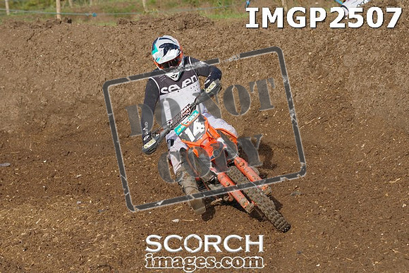 IMGP2507