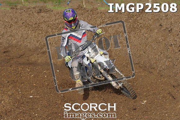 IMGP2508