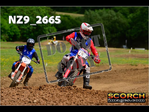 Novice-254
