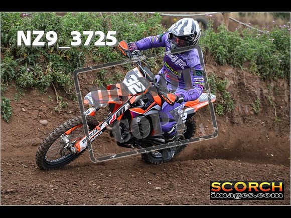 IntersGreenOrange-090