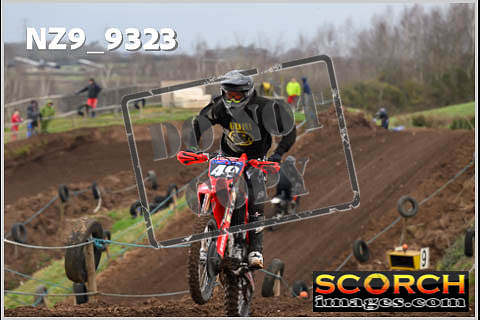 Inters Green-003