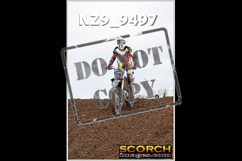 Inters Orange-082