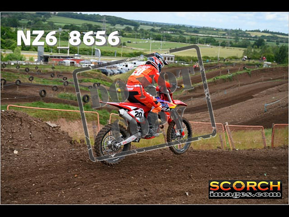 Experts-067