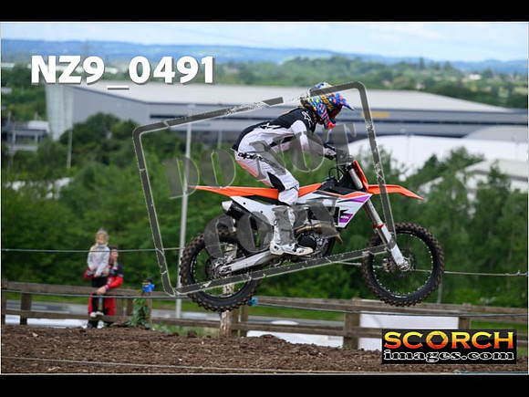 Orange Group-104