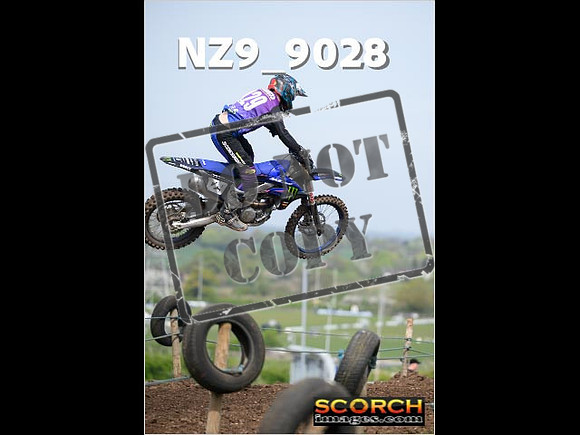 Experts-081