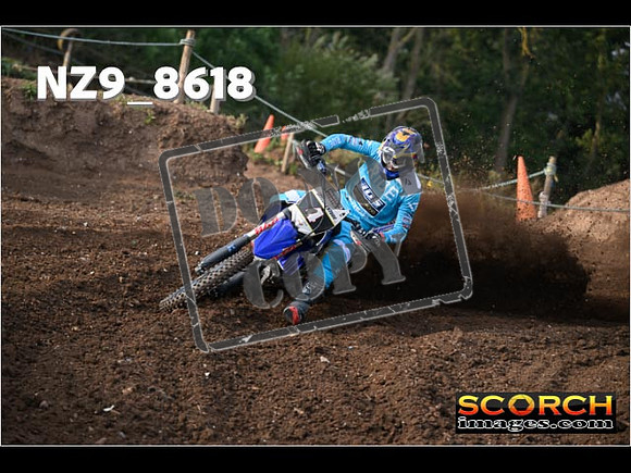 Experts-027
