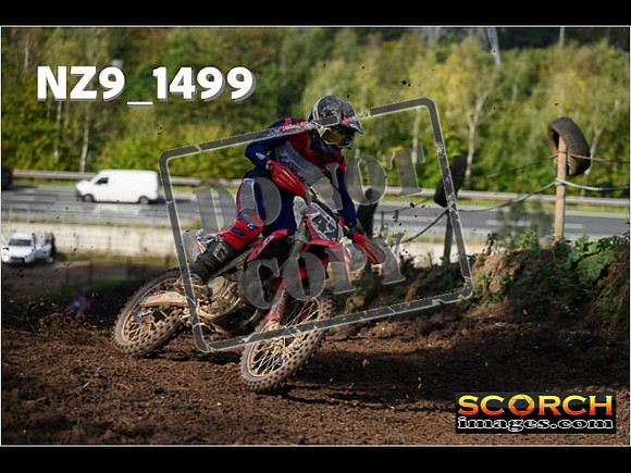 Experts-191