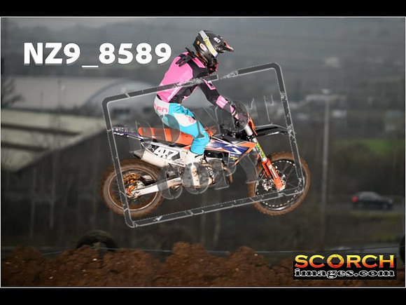 Experts-034