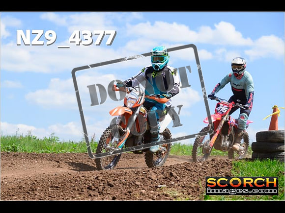 InterGreen-276