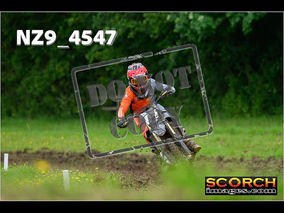 Experts-264